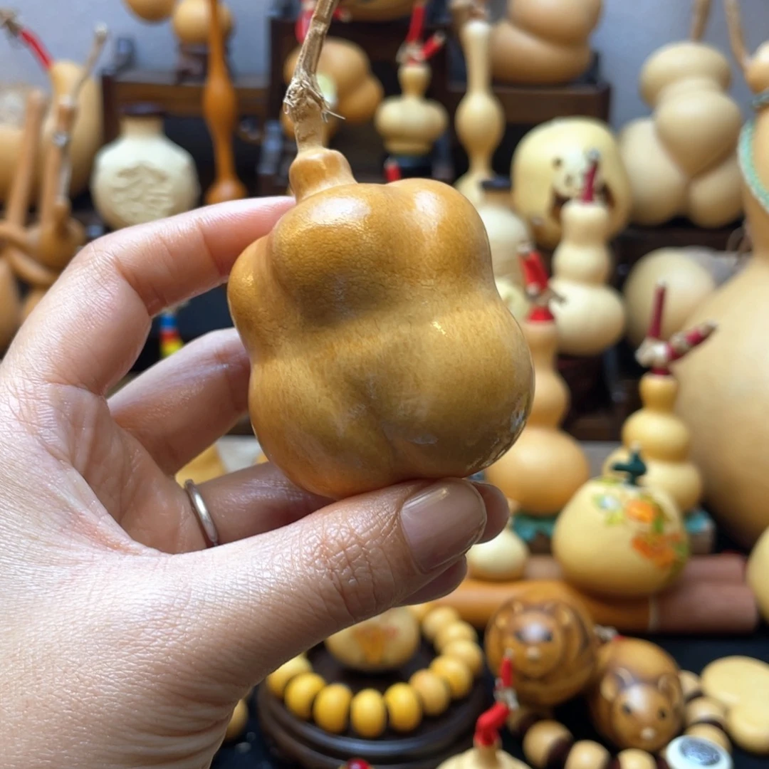 o***?大自然的秘密第十一节的故事