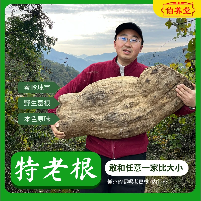 老葛根正宗秦岭野生葛根多年生柴葛根呀原生大片冲茶泡水