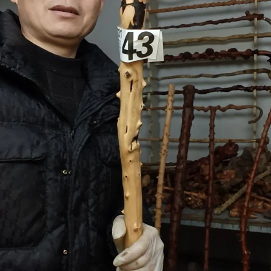 有***好香榧木高山 檬子木文玩料