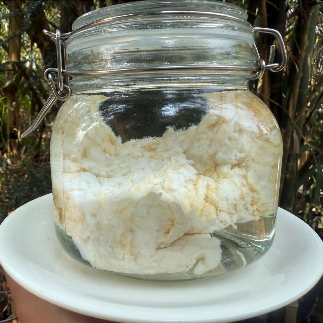 1【天-然-石-太-岁】净含量：50-1500g【小田现收】菌