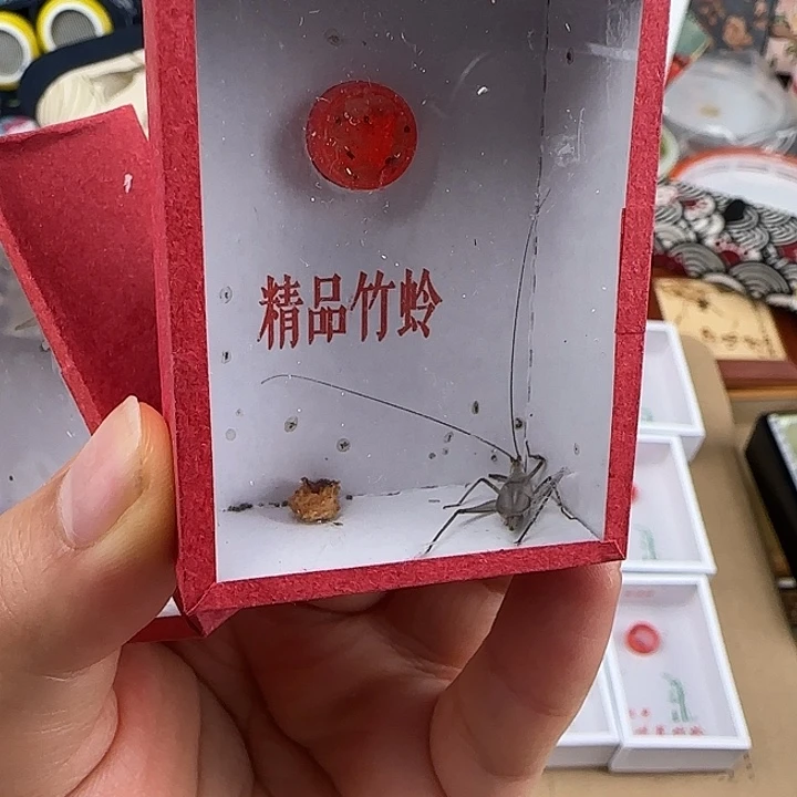 蟋蟀则……紫竹一只…………