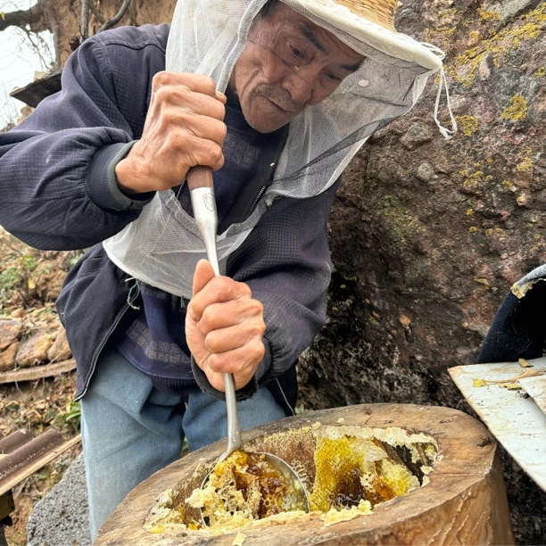 山西运城垣曲县深山土蜂蜜2斤 成熟蜜 一年取一次