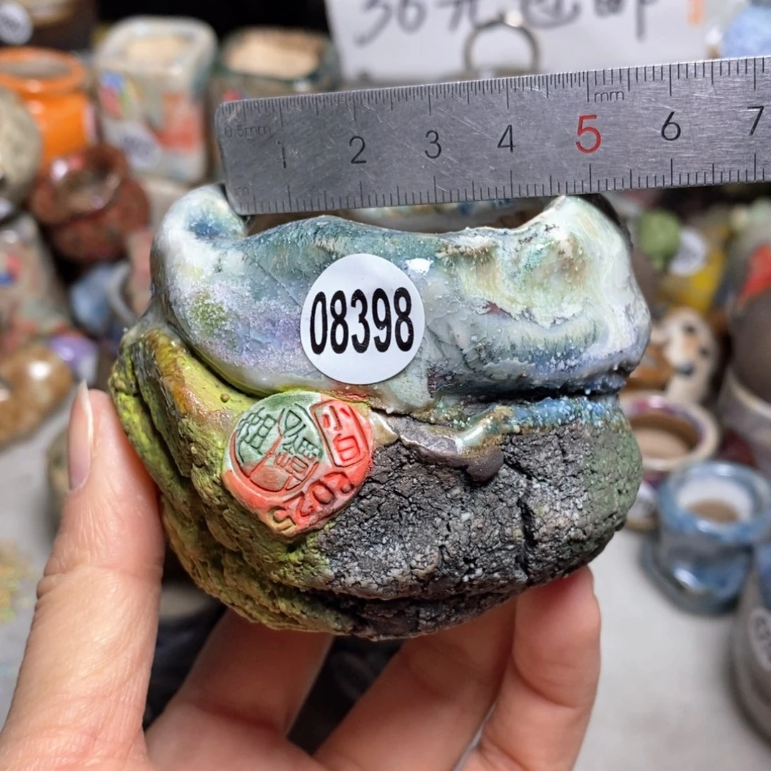 花盆拍3送一个小礼物