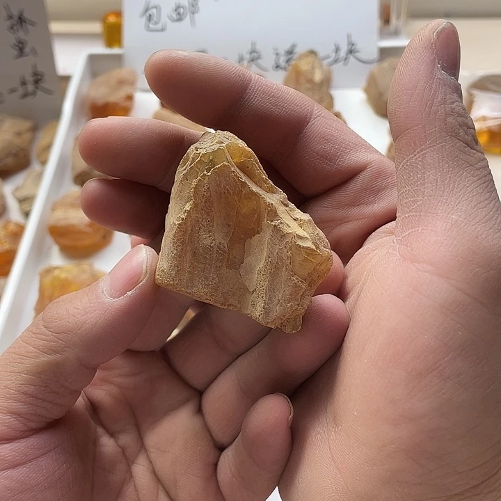 冷***血定制琥珀未镶嵌天然琥珀蜜蜡