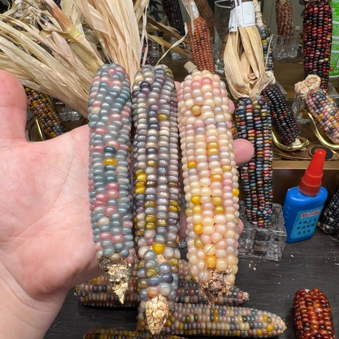 柏香籽/百香籽吊坠星****r