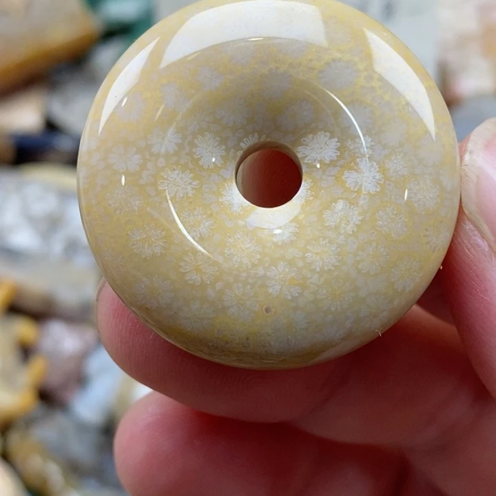 硅化珊瑚（珊瑚玉）未镶嵌颈饰