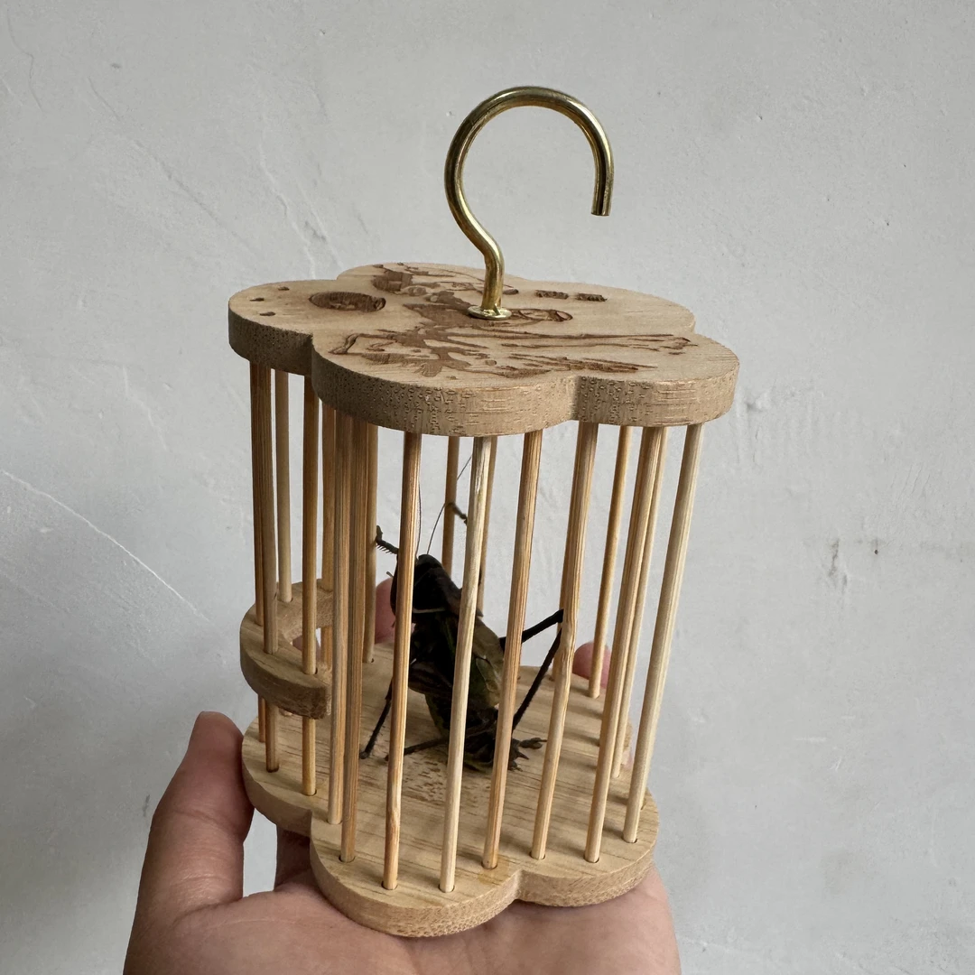 铁皮蝈蝈➕花瓣形笼子（顺丰包邮 偏远地区不包）