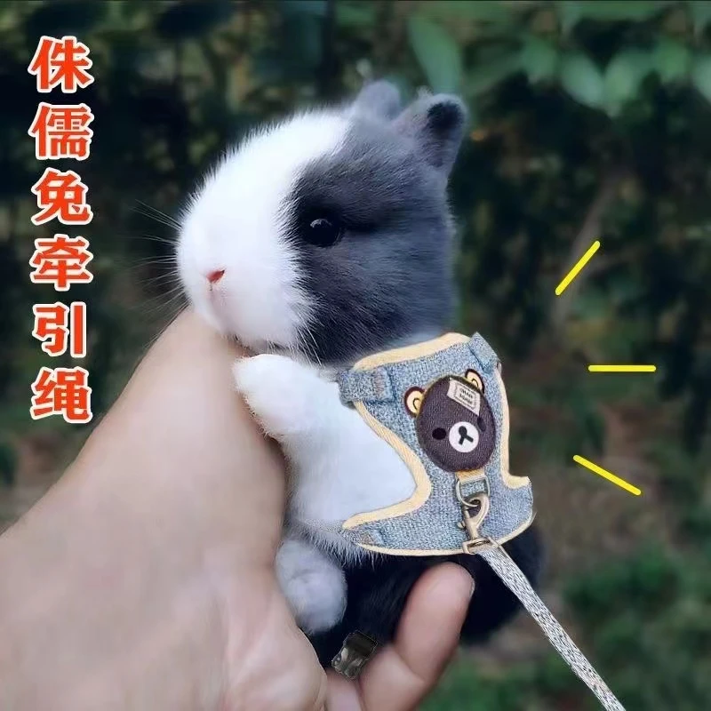 可调节猫咪牵引绳防挣脱外出专用猫绳背带遛猫必备