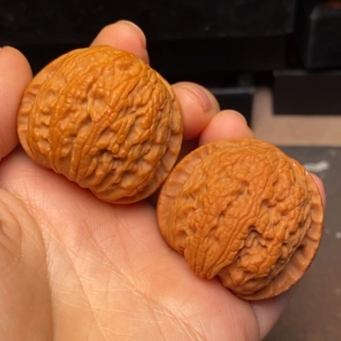 文玩核桃把件秦岭森林核桃