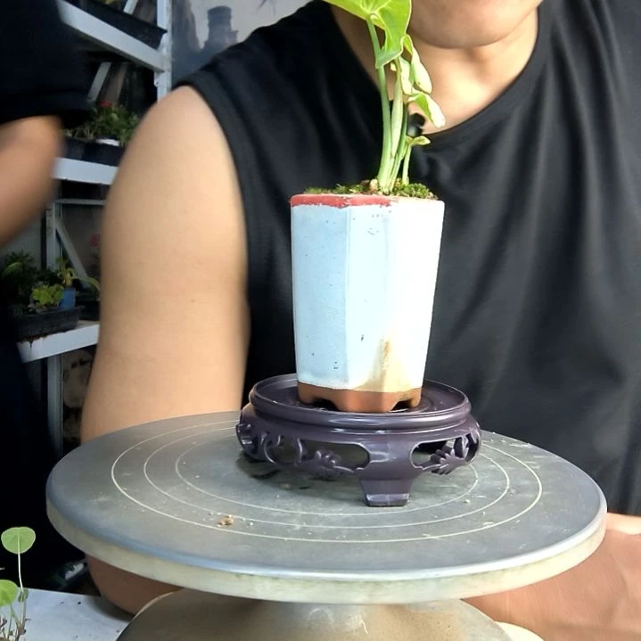 用****2中青园艺一物一拍66