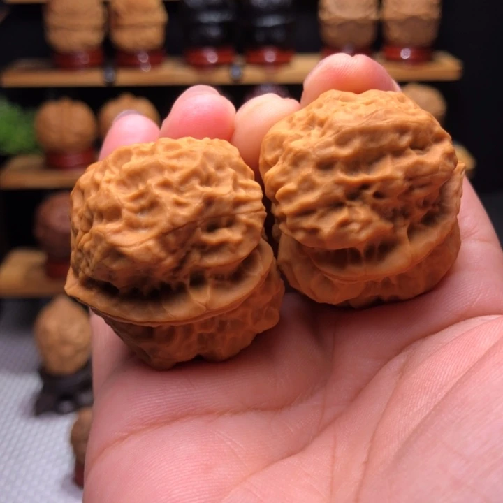 【闪购商品】金尊龙脊26