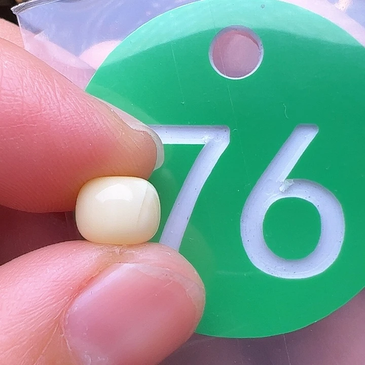 蜜蜡裸石未镶嵌揍**的7.5m m