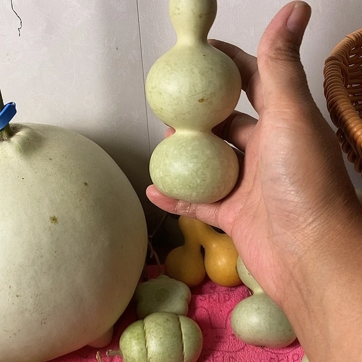 哼****青皮葫芦手把件葫芦
