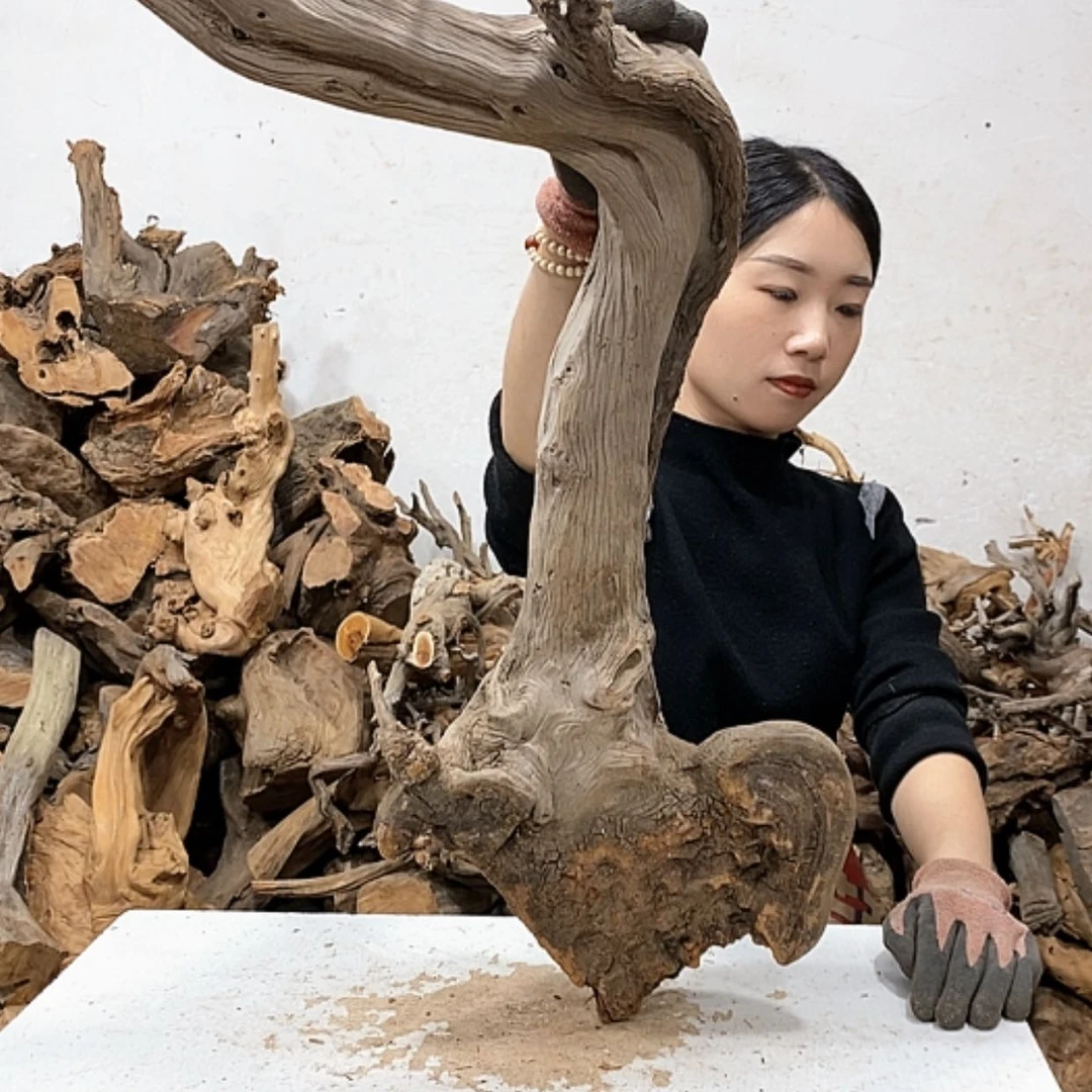 【闪购商品】柏木m****w我们都是好孩子