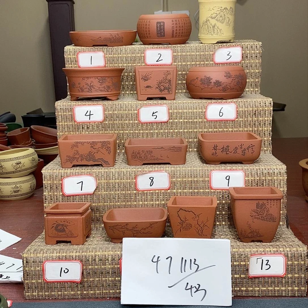 紫砂花盆探*家我在外面