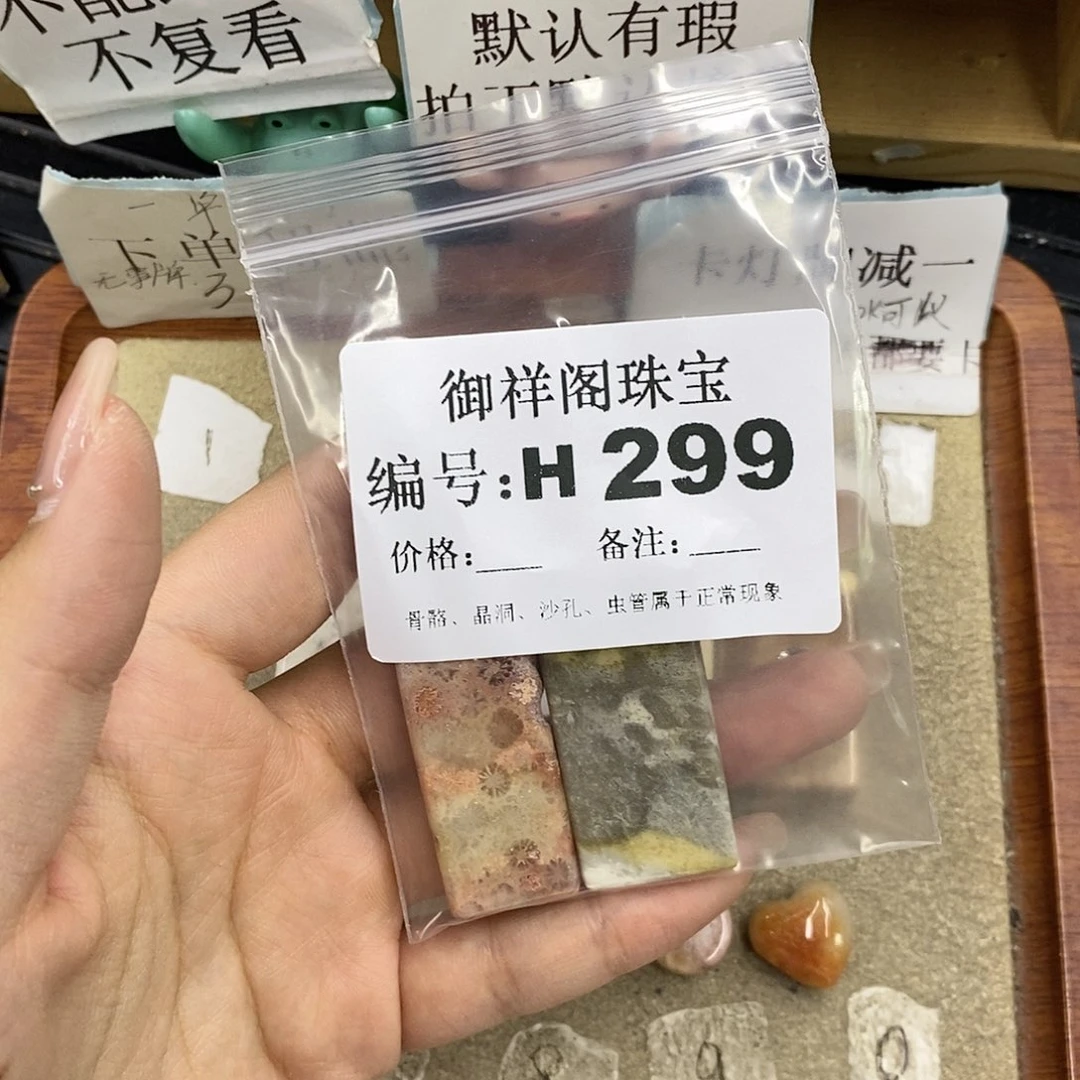 硅化珊瑚（珊瑚玉）未镶嵌颈饰没****态