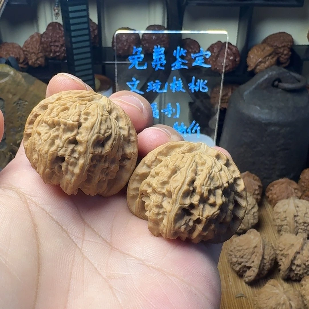 白狮子狮子头，42的全品