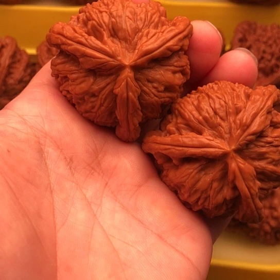 宁***.核桃核桃核桃咯核桃