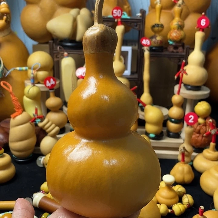 由***由葫芦丝和音乐更像自己想