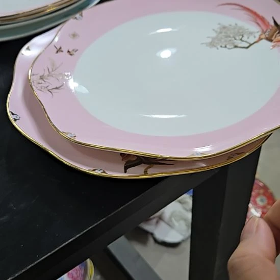 瓷片微瑕奥维10寸2个大盘66666666