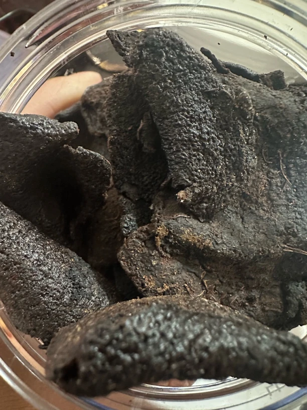 潮州特产川贝老陈皮润喉消食