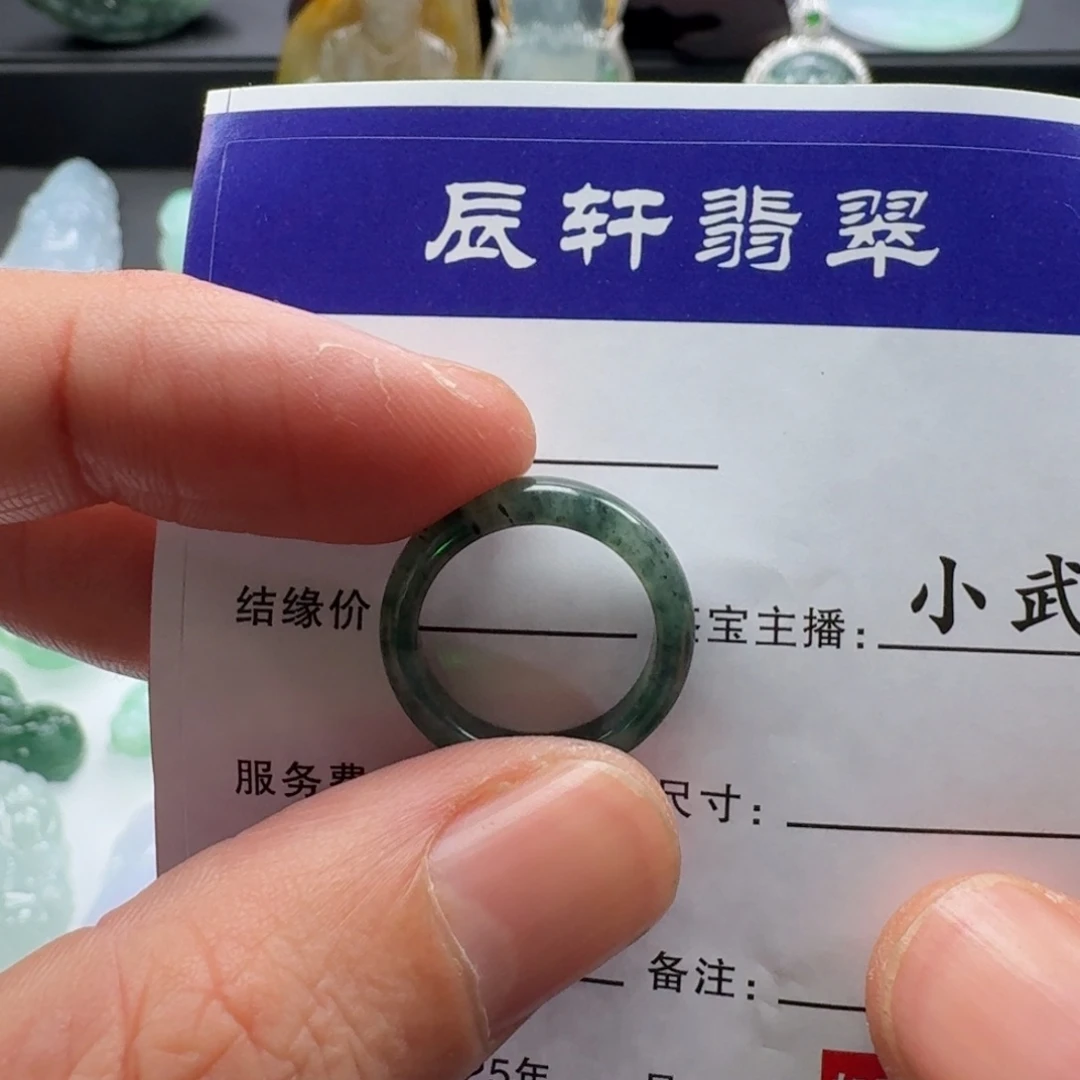 翡翠未镶嵌颈饰    7