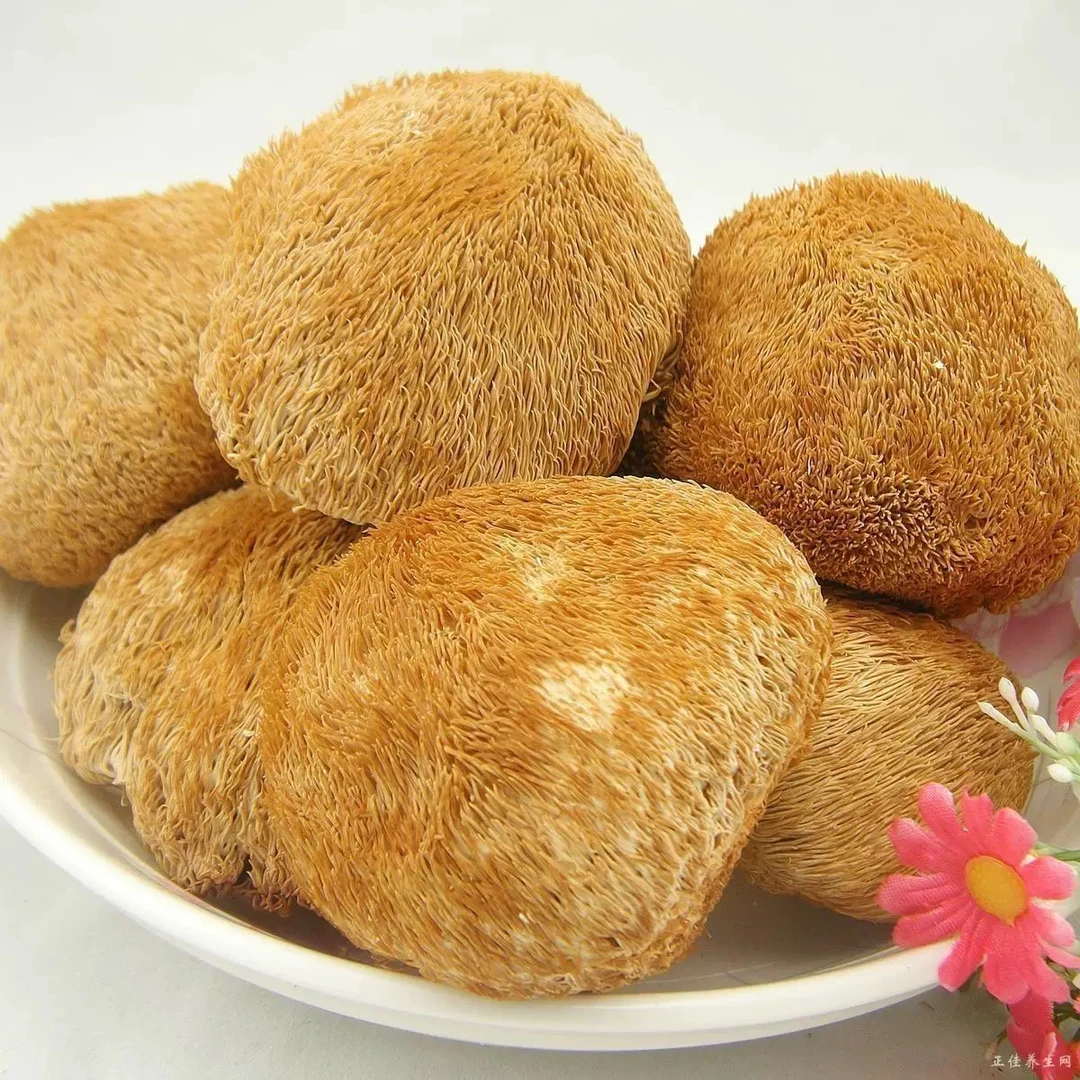 猴头菇干货滋补煲汤暖胃营养菌菇个大肉厚猴头菇天然营养山货炖汤