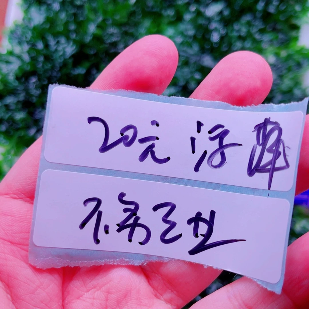 不***板美小呆精品水草套餐