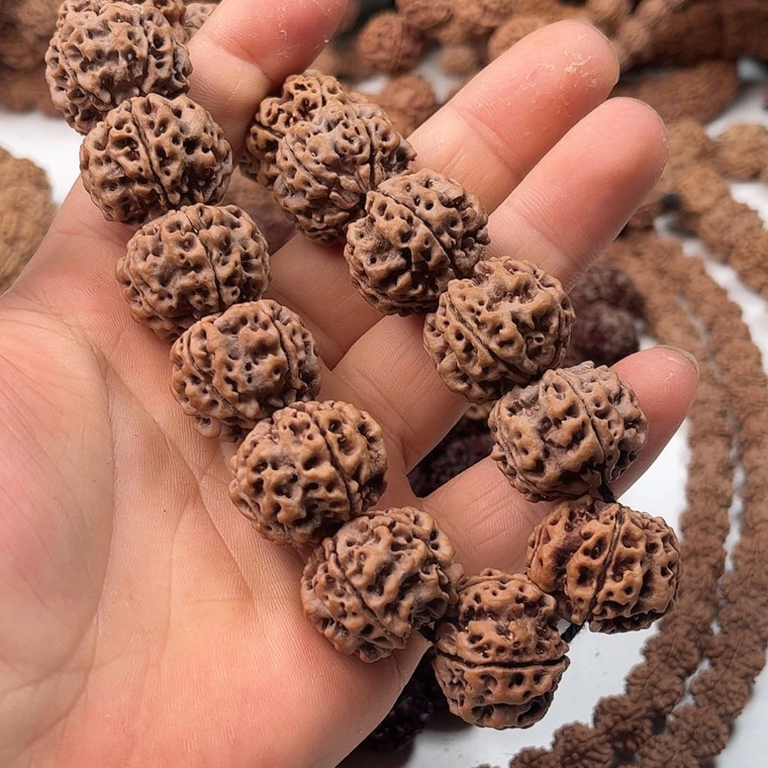 手串金刚菩提24矮桩粗筋