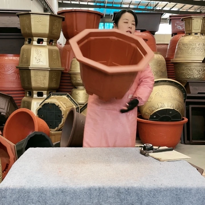 张***大八角红色五零两个