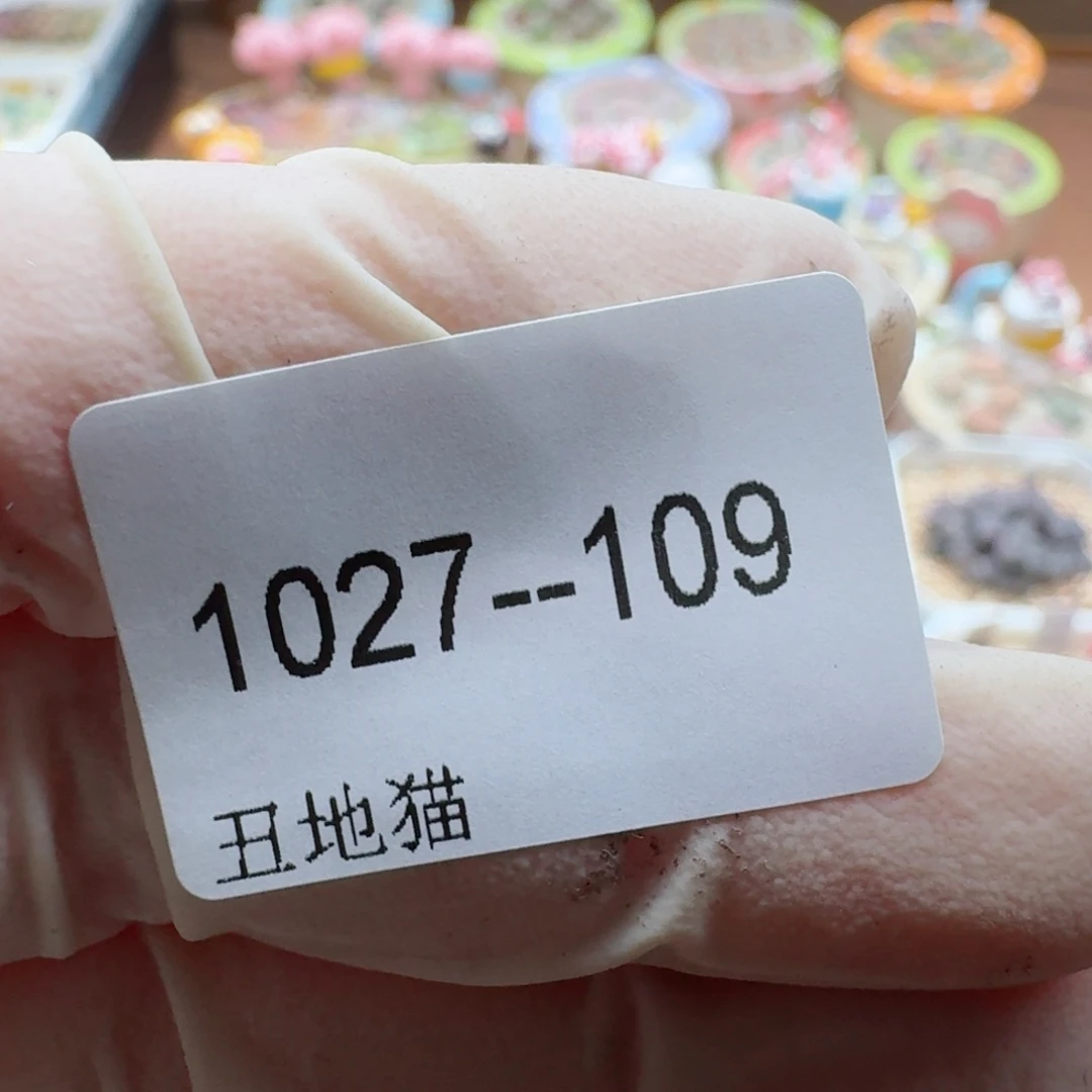 米***团1027-109卷卷卷卷j