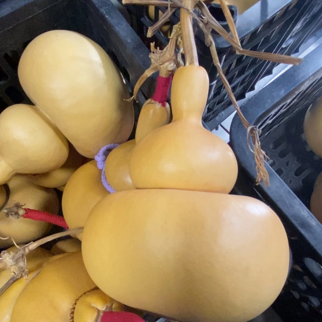 柿***顺直播间钱袋子一物一价