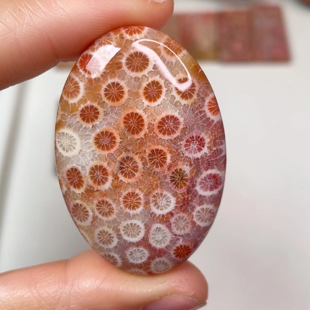 【闪购商品】未镶嵌吊坠(赠链)硅化玉