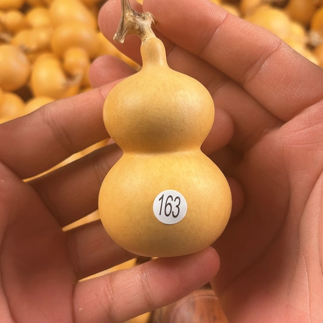 一葫芦葫芦葫芦葫芦163