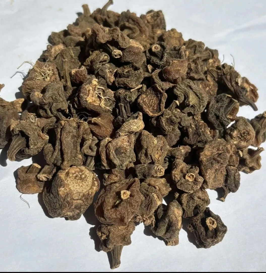 大山山货【龙鳞石斛】农产品