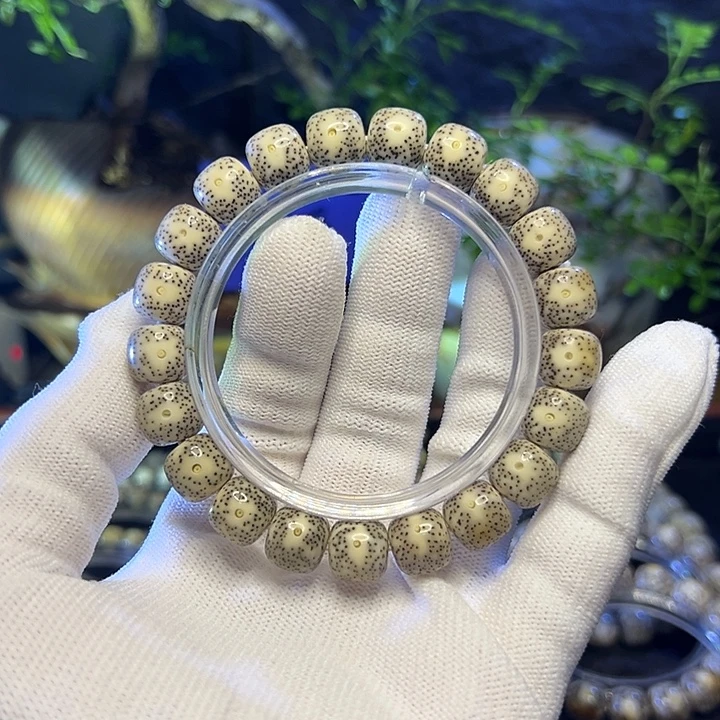 手串星月菩提海南原生态