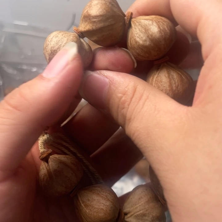 橄榄核手串/手链国**哥2223铁