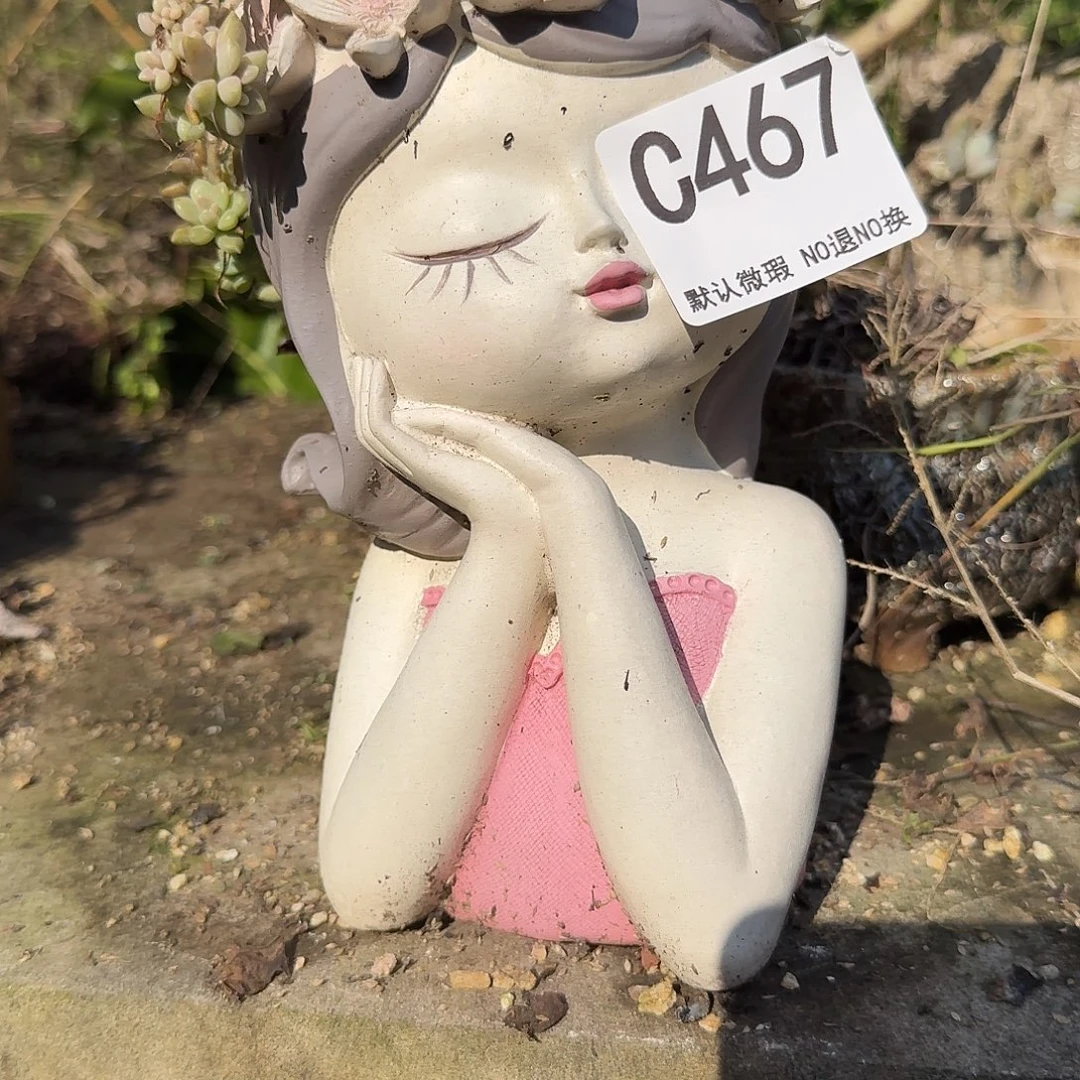 重庆小燕子欢迎大家467