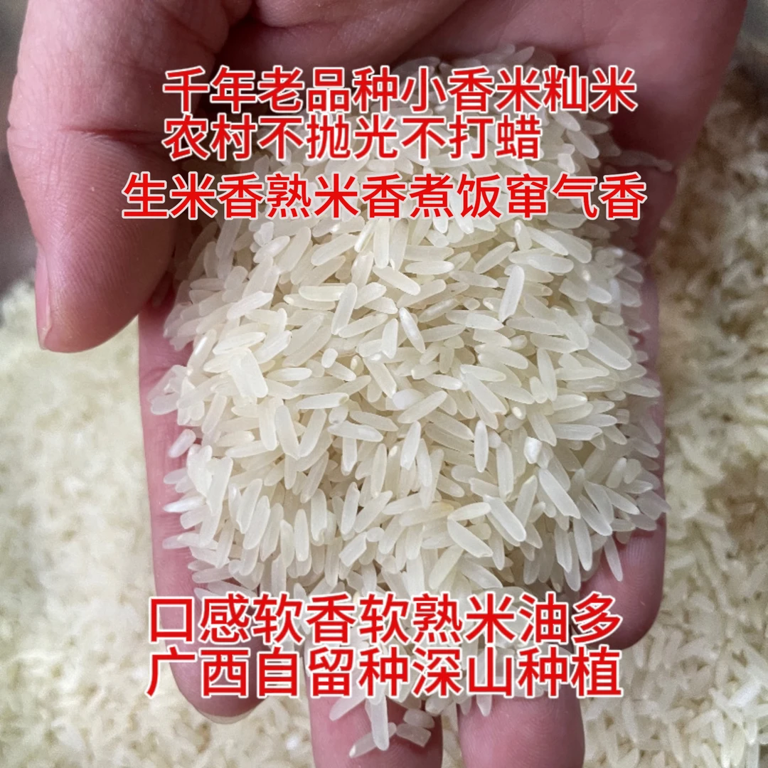 老品种小香米籼米米油多2斤农家不抛光胚芽米广西深山种植糙米