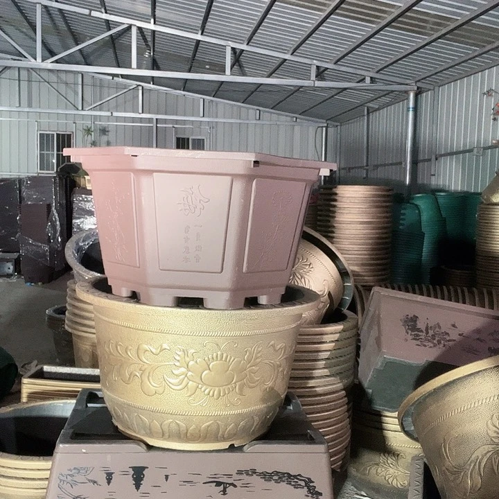 梅花照眼 依然旧风味