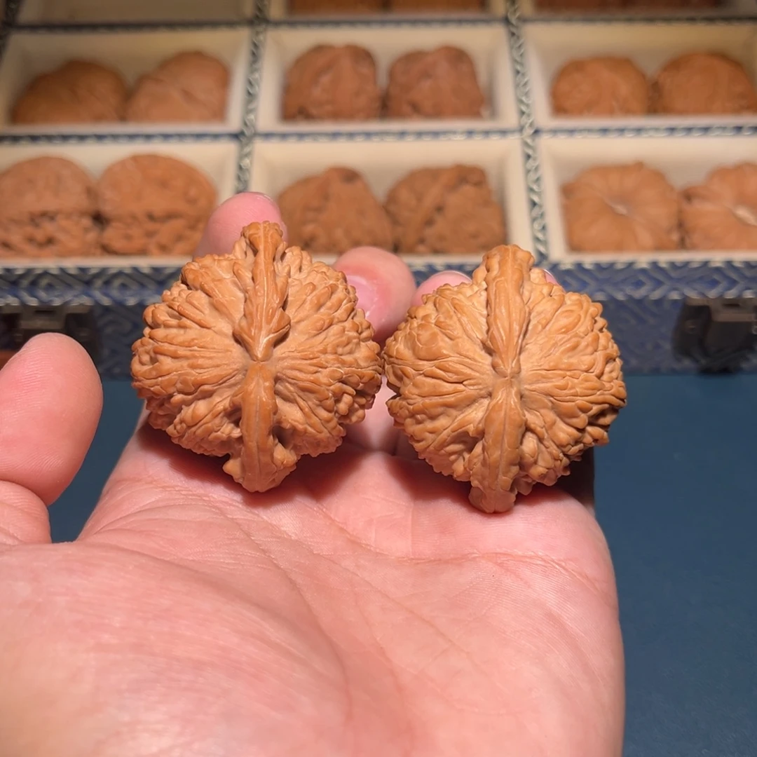 45全品白狮子核桃