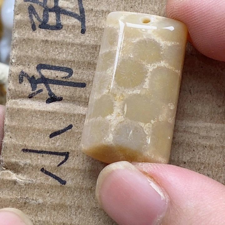 颈饰未镶嵌硅化珊瑚（珊瑚玉）可****ℛ