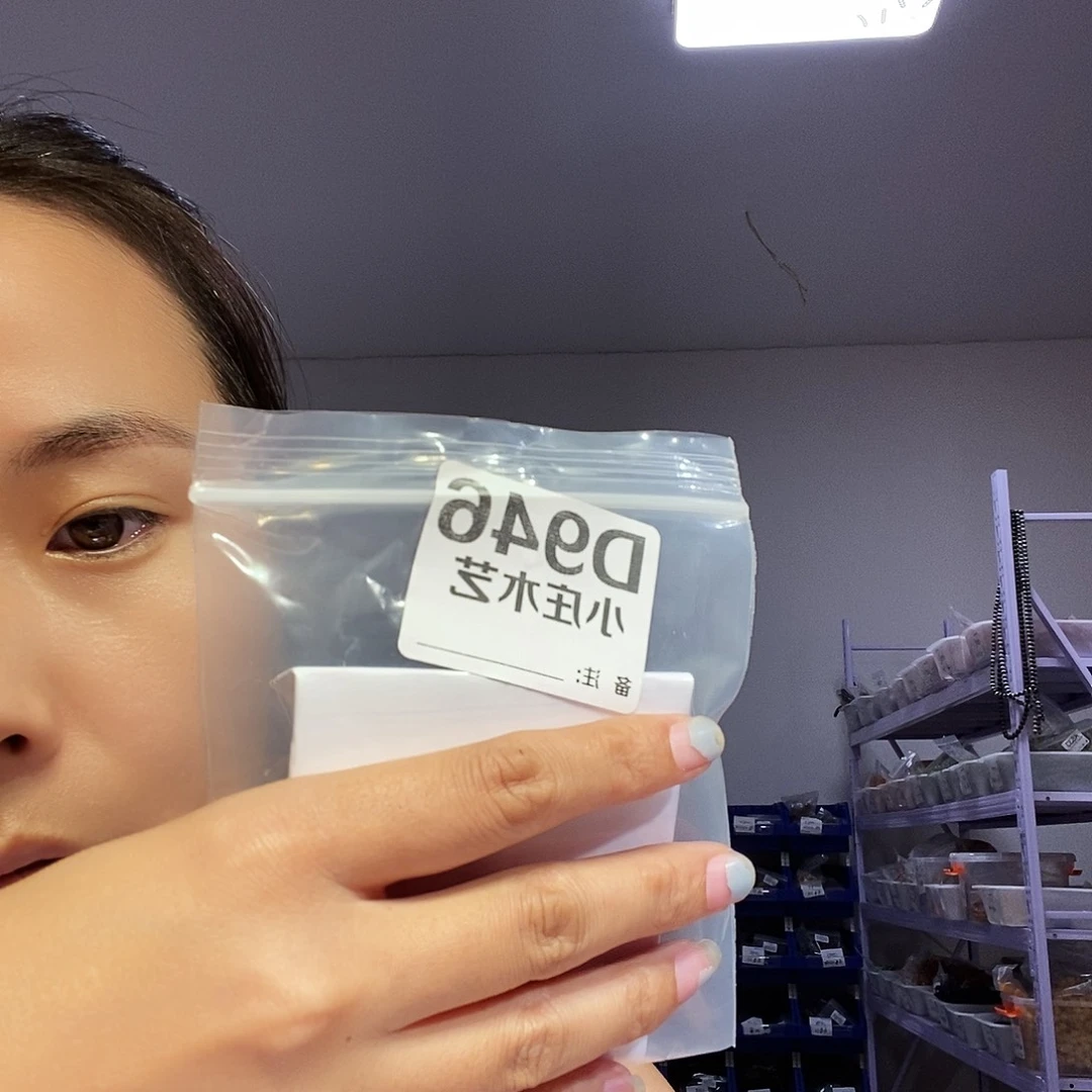 【闪购商品】昔**来黑檀木946