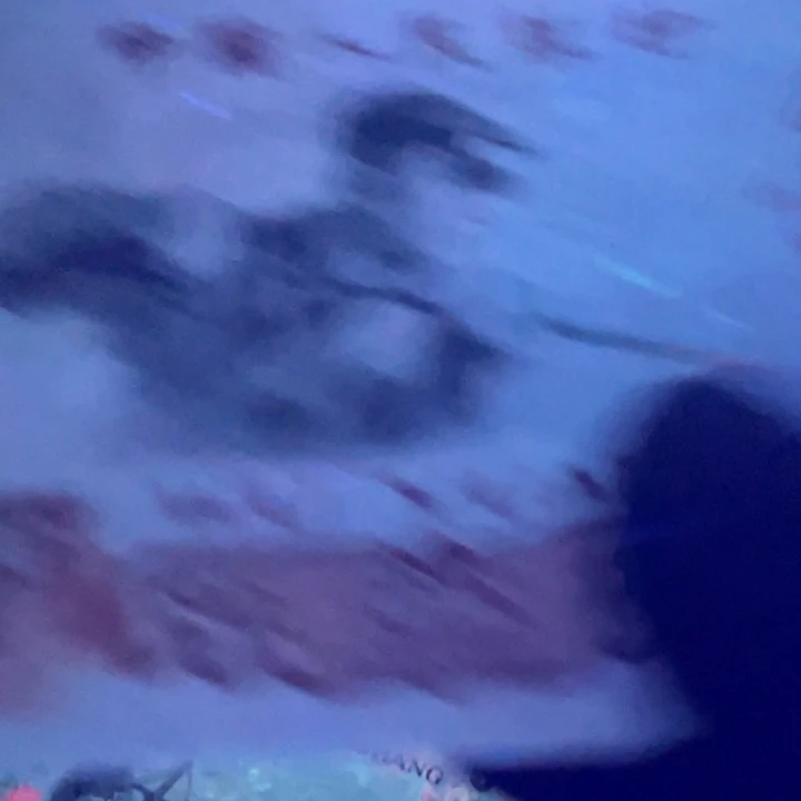 安***福炫彩炭黑王特强荧光