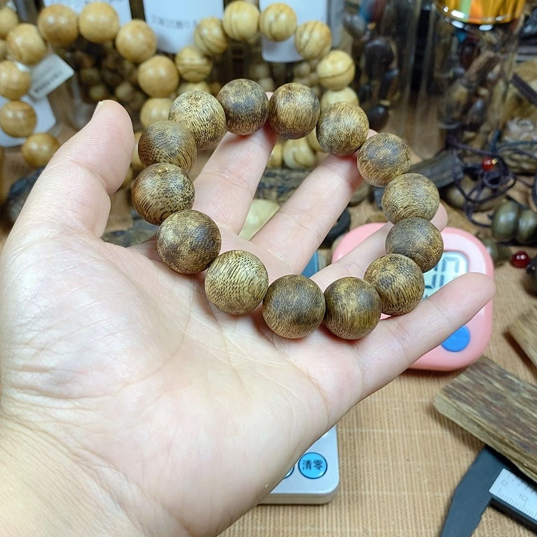 郑登柳眉咯哦哦1.5