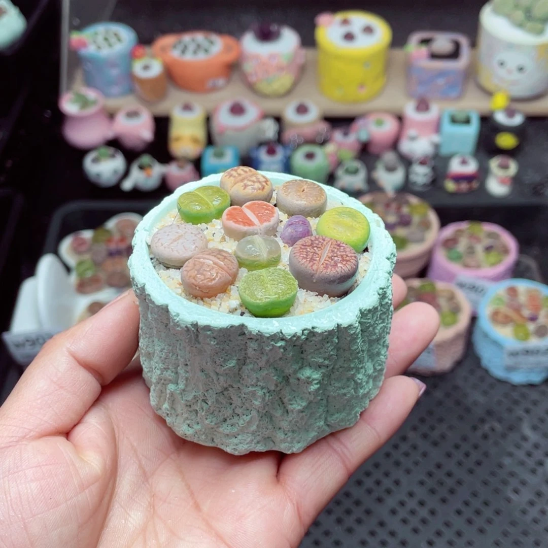 w9027 -零下地区拍保温箱-15支持寄养