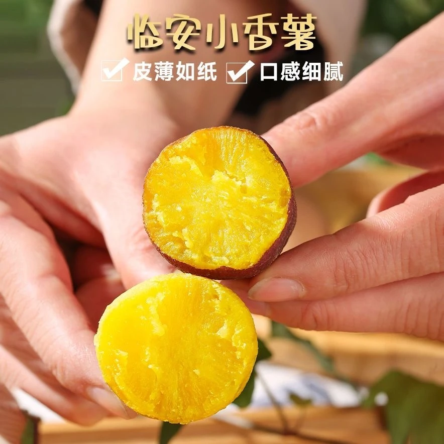 临安天目小香薯软糯香甜天目山小红薯地瓜皮薄农产品老少皆宜