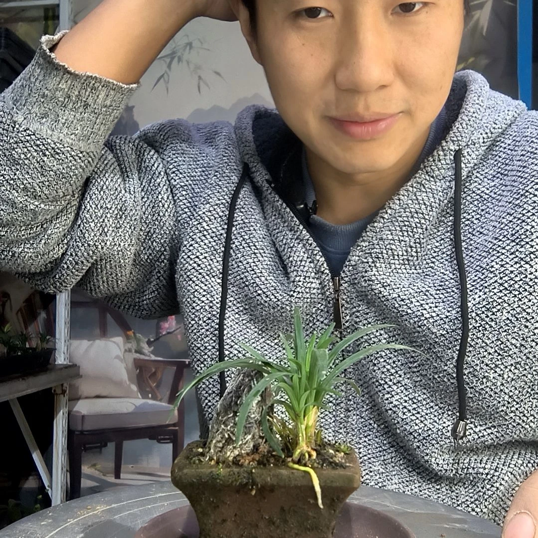迷****使中青园艺一物一拍54