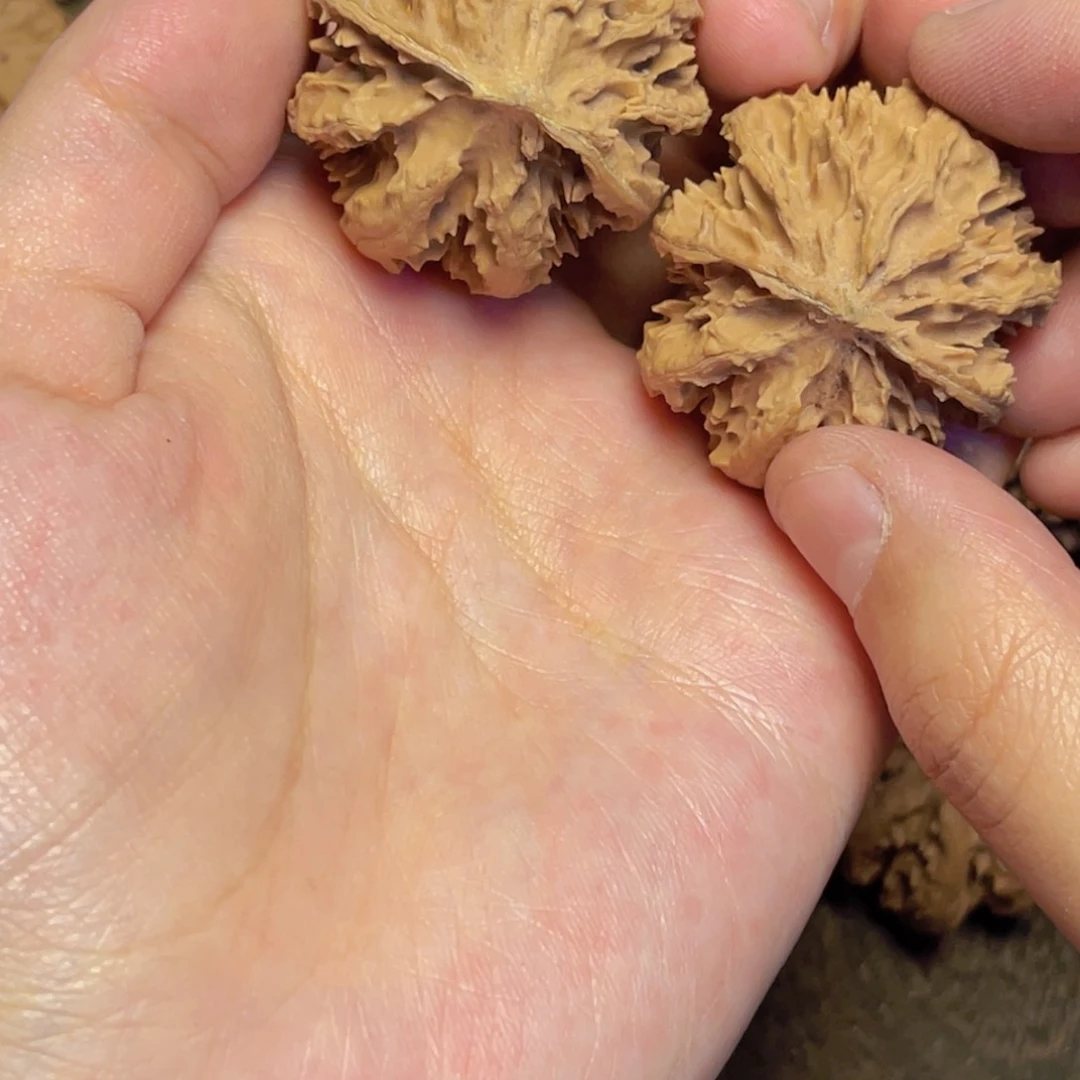 桃核把件5 秦岭灯笼野生小众