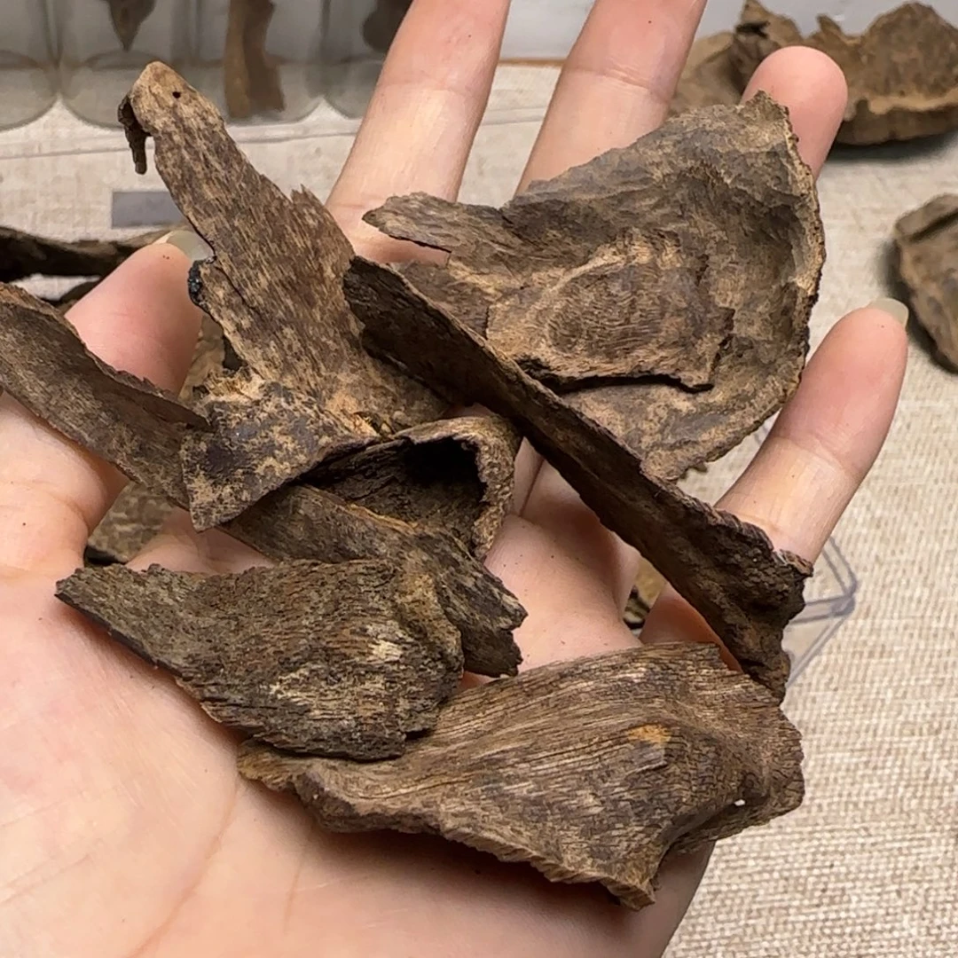 香榧木海南包头碎料10克